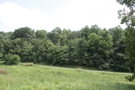 Large Hunting and Recreational Tract In Dungannon VA - image 2
