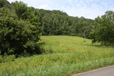 Large Hunting and Recreational Tract In Dungannon VA - image 7