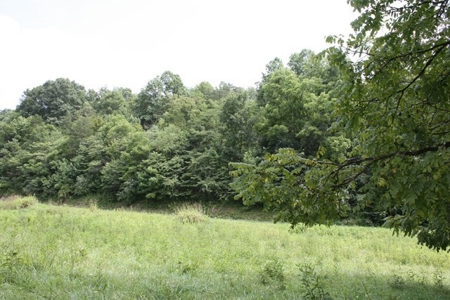 Large Hunting and Recreational Tract In Dungannon VA - image 4