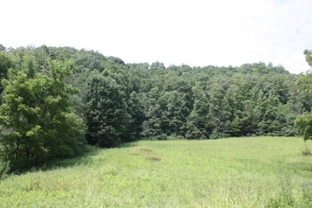 Large Hunting and Recreational Tract In Dungannon VA - image 8