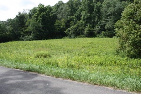 Large Hunting and Recreational Tract In Dungannon VA - image 6