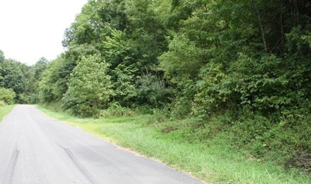 Large Hunting and Recreational Tract In Dungannon VA - image 5