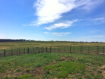 Grand River IA Farm 1021.8 Acres Contiguous Tract Decatur Co - image 13