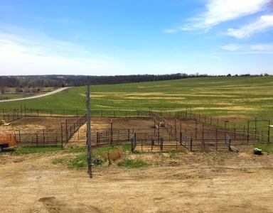 Grand River IA Farm 1021.8 Acres Contiguous Tract Decatur Co - image 5