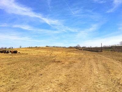 Grand River IA Farm 1021.8 Acres Contiguous Tract Decatur Co - image 32