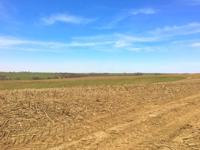Grand River IA Farm 1021.8 Acres Contiguous Tract Decatur Co - image 20
