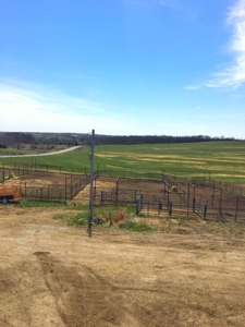 Grand River IA Farm 1021.8 Acres Contiguous Tract Decatur Co - image 4