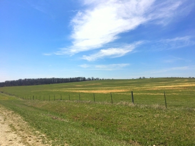 Grand River IA Farm 1021.8 Acres Contiguous Tract Decatur Co - image 17