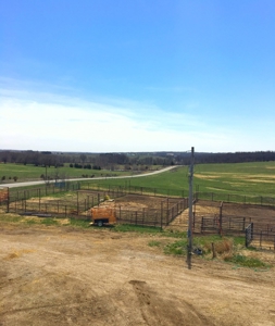 Grand River IA Farm 1021.8 Acres Contiguous Tract Decatur Co - image 12