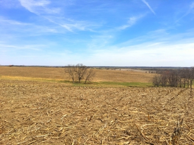 Grand River IA Farm 1021.8 Acres Contiguous Tract Decatur Co - image 24