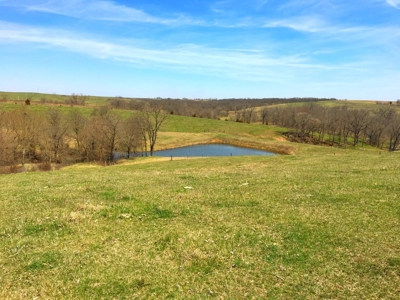 Grand River IA Farm 1021.8 Acres Contiguous Tract Decatur Co - image 33