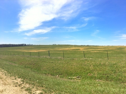 Grand River IA Farm 1021.8 Acres Contiguous Tract Decatur Co - image 18