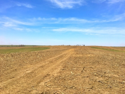 Grand River IA Farm 1021.8 Acres Contiguous Tract Decatur Co - image 23