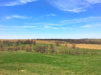 Grand River IA Farm 1021.8 Acres Contiguous Tract Decatur Co - image 9