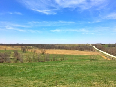 Grand River IA Farm 1021.8 Acres Contiguous Tract Decatur Co - image 19