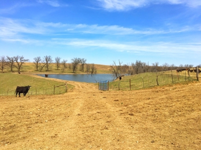 Grand River IA Farm 1021.8 Acres Contiguous Tract Decatur Co - image 28
