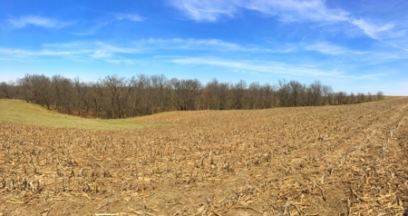 Grand River IA Farm 1021.8 Acres Contiguous Tract Decatur Co - image 21