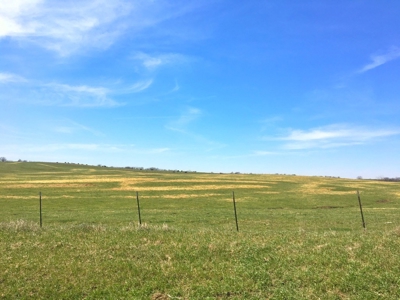 Grand River IA Farm 1021.8 Acres Contiguous Tract Decatur Co - image 16