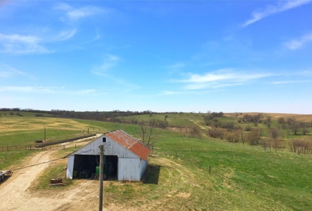 Grand River IA Farm 1021.8 Acres Contiguous Tract Decatur Co - image 6