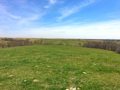 Grand River IA Farm 1021.8 Acres Contiguous Tract Decatur Co - image 37