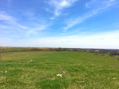 Grand River IA Farm 1021.8 Acres Contiguous Tract Decatur Co - image 31