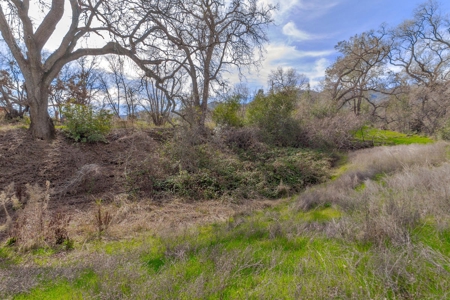 Yolo County- Capay Valley Country Home with Land - image 5