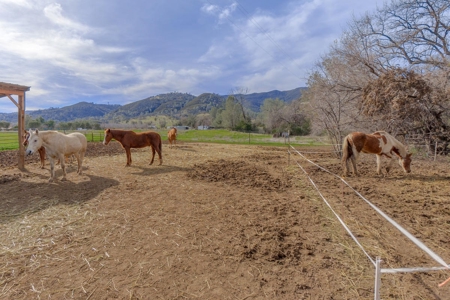 Yolo County- Capay Valley Country Home with Land - image 12