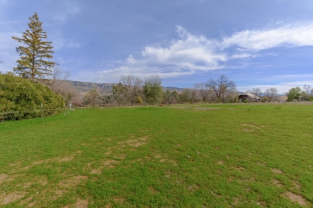 Yolo County- Capay Valley Country Home with Land - image 6