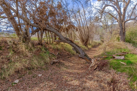 Yolo County- Capay Valley Country Home with Land - image 14