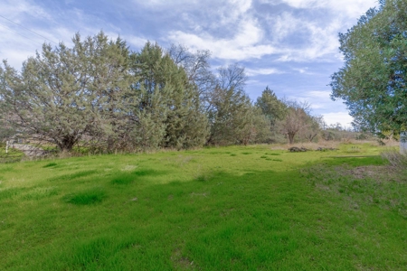 Yolo County- Capay Valley Country Home with Land - image 2