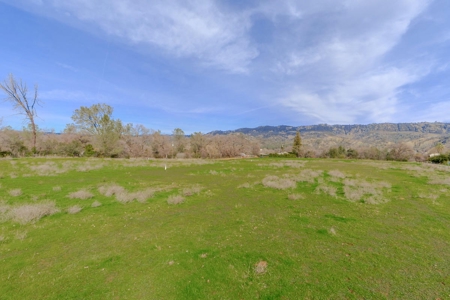 Yolo County- Capay Valley Country Home with Land - image 9