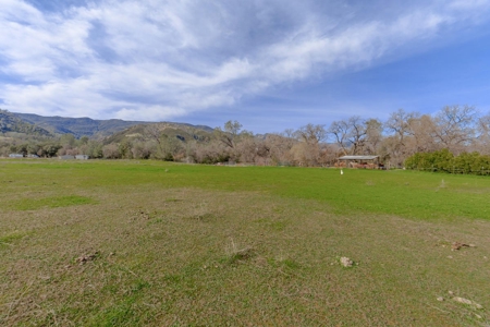 Yolo County- Capay Valley Country Home with Land - image 7