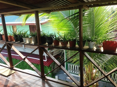 Titled Income producing 7 unit Apartment Building in Bocas - image 13