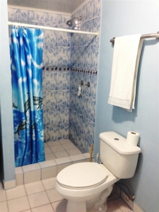 Titled Income producing 7 unit Apartment Building in Bocas - image 9