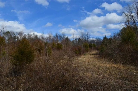 300 Acres Of Beautiful Mountain Property Sneedville, Tn - image 7