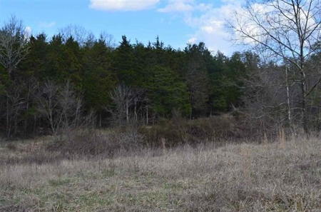 300 Acres Of Beautiful Mountain Property Sneedville, Tn - image 13
