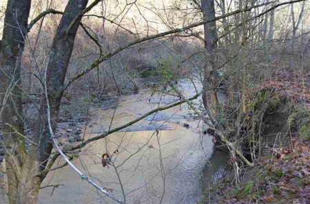 300 Acres Of Beautiful Mountain Property Sneedville, Tn - image 19