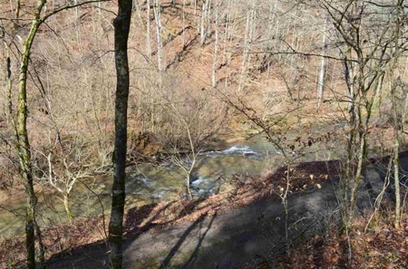 300 Acres Of Beautiful Mountain Property Sneedville, Tn - image 21