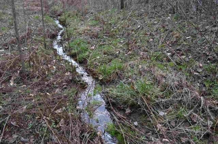 300 Acres Of Beautiful Mountain Property Sneedville, Tn - image 16