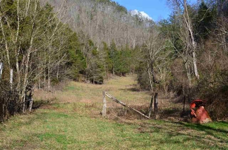300 Acres Of Beautiful Mountain Property Sneedville, Tn - image 17
