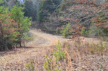 300 Acres Of Beautiful Mountain Property Sneedville, Tn - image 33