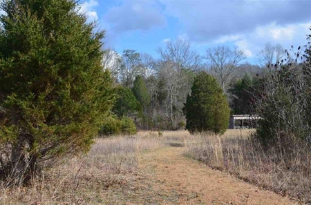 300 Acres Of Beautiful Mountain Property Sneedville, Tn - image 29