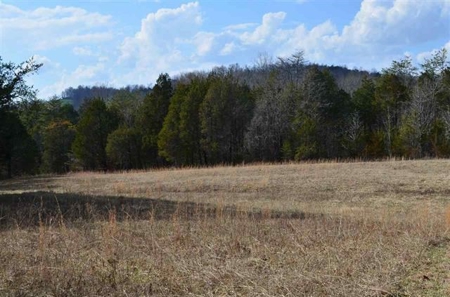 300 Acres Of Beautiful Mountain Property Sneedville, Tn - image 14