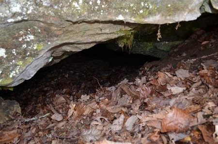 300 Acres Of Beautiful Mountain Property Sneedville, Tn - image 10