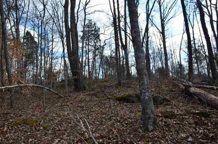 300 Acres Of Beautiful Mountain Property Sneedville, Tn - image 9