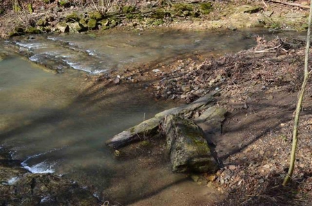 300 Acres Of Beautiful Mountain Property Sneedville, Tn - image 2