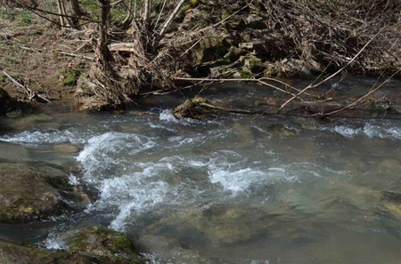 300 Acres Of Beautiful Mountain Property Sneedville, Tn - image 4
