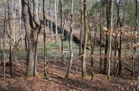 300 Acres Of Beautiful Mountain Property Sneedville, Tn - image 11