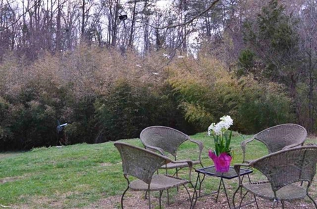 300 Acres Of Beautiful Mountain Property Sneedville, Tn - image 12