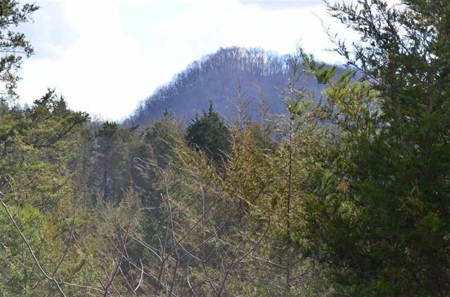 300 Acres Of Beautiful Mountain Property Sneedville, Tn - image 1